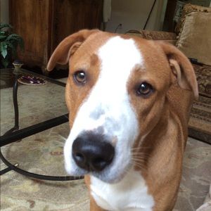 Meet your Posher, Mina